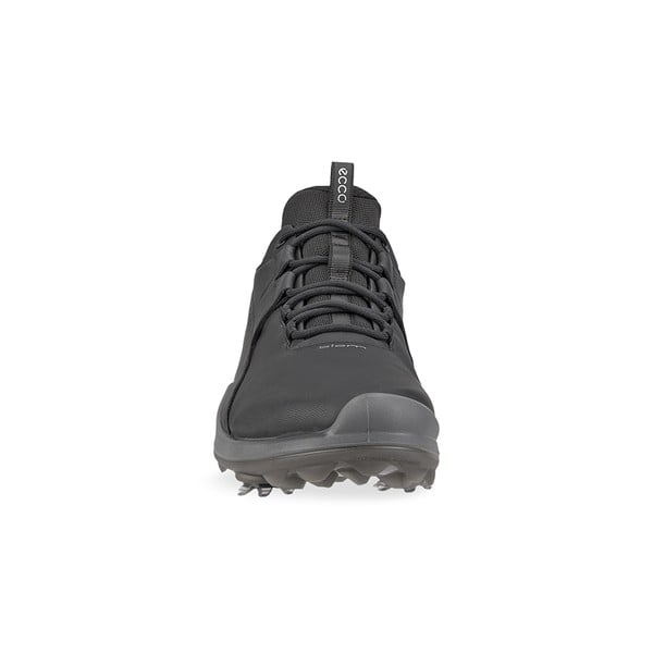 Ecco biom best sale hike mens online