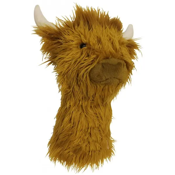 Highland Cow