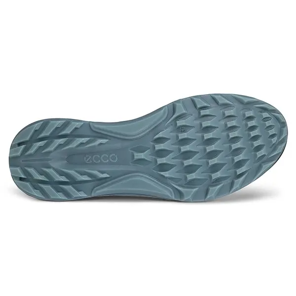 Ecco mens biom hybrid 2 gtx best sale