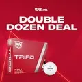 Double Dozen Offer